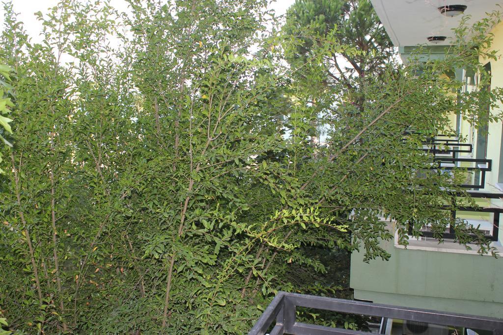Flora Hotel Koycegiz  Bilik gambar